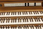 Organ of the Week