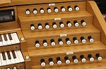 Organ of the Week