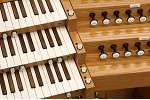 Organ of the Week