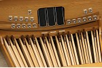 Organ of the Week