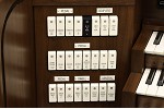 Organ of the Week