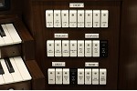 Organ of the Week