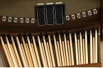 Organ of the Week