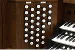 Organ of the Week