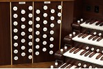 Organ of the Week