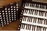 Organ of the Week