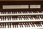 Organ of the Week