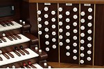 Organ of the Week