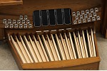 Organ of the Week