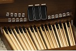 Organ of the Week