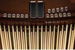 Organ of the Week
