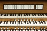 Organ of the Week