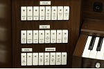 Organ of the Week