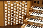 Organ of the Week