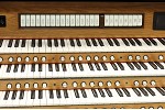 Organ of the Week