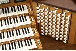 Organ of the Week