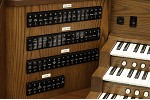 Organ of the Week