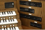 Organ of the Week