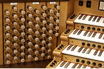 Organ of the Week