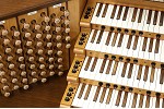 Organ of the Week
