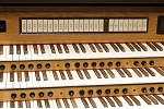 Organ of the Week