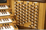 Organ of the Week