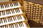 Organ of the Week