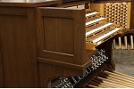 Organ of the Week