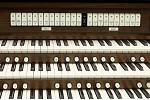 Organ of the Week