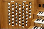 Organ of the Week