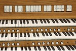Organ of the Week