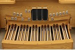 Organ of the Week
