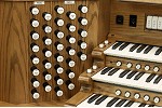 Organ of the Week