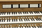 Organ of the Week