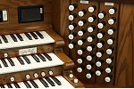 Organ of the Week