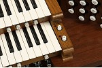 Organ of the Week