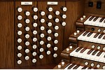 Organ of the Week
