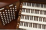 Organ of the Week