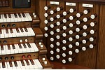 Organ of the Week