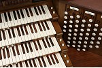 Organ of the Week