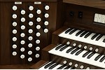 Organ of the Week
