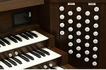 Organ of the Week