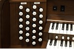Organ of the Week