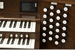 Organ of the Week