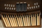 Organ of the Week