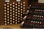 Organ of the Week