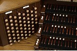 Organ of the Week