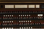Organ of the Week