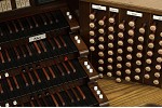 Organ of the Week