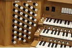 Organ of the Week